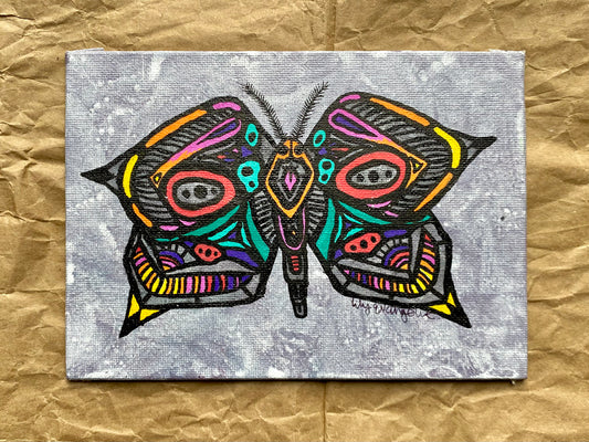 Rainbow Geometric Moth